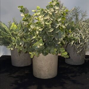 3 faux plants including Faux Eucalyptus  - Neutral Stone Planter
